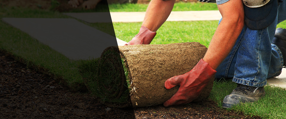 Chariton Landscapers